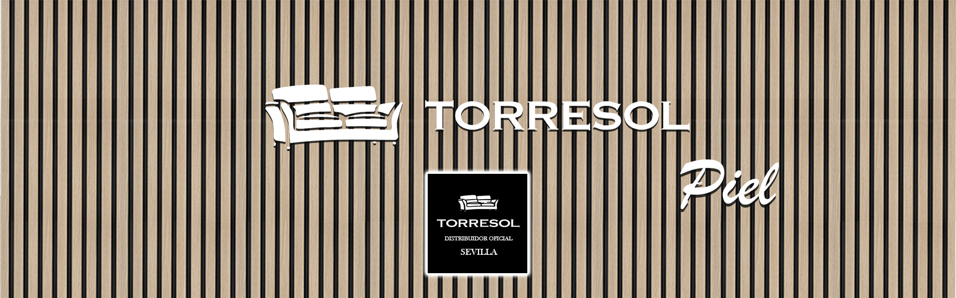 Banner seccion torresol 1