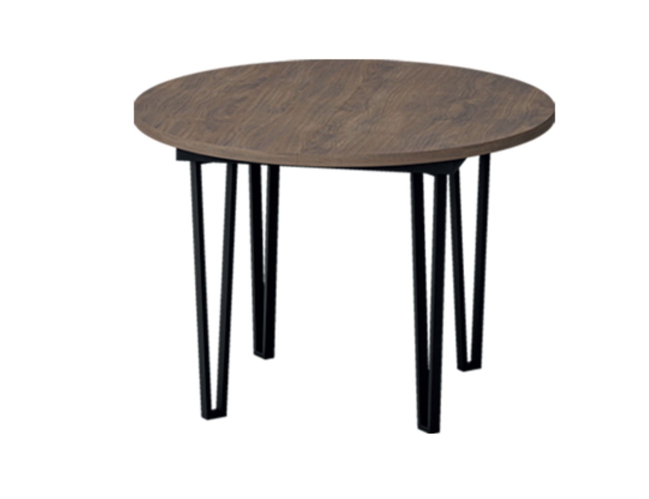 Mesa alba, 10206, strait, nogal