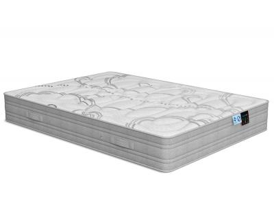 Conchon ergotec naturalia poligon